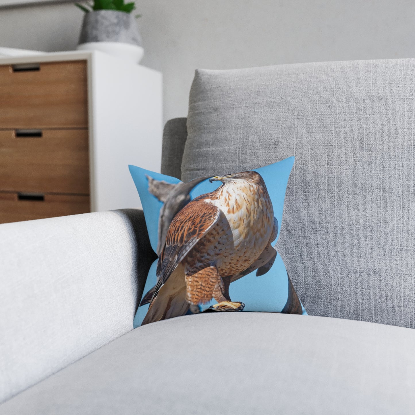 Hawk