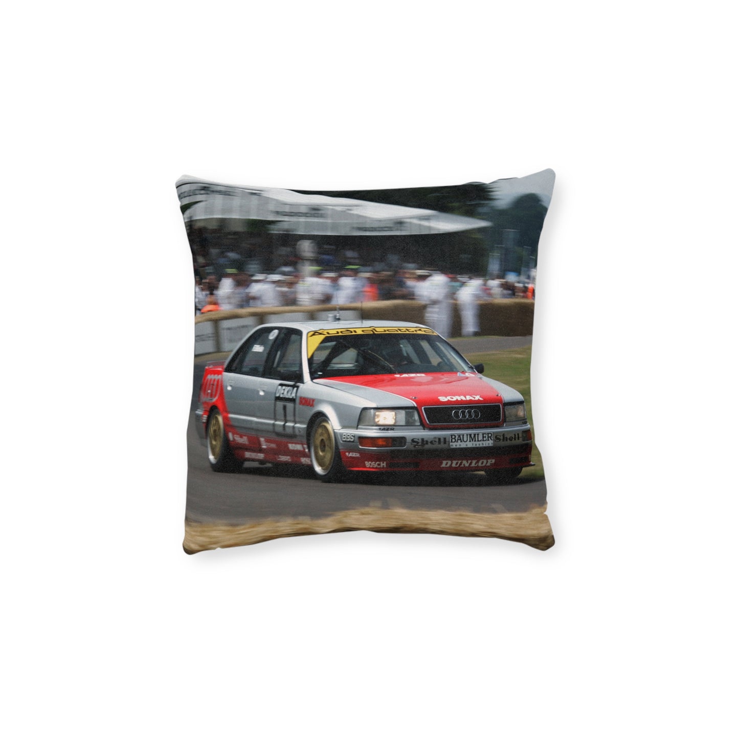 Audi v8 DTM