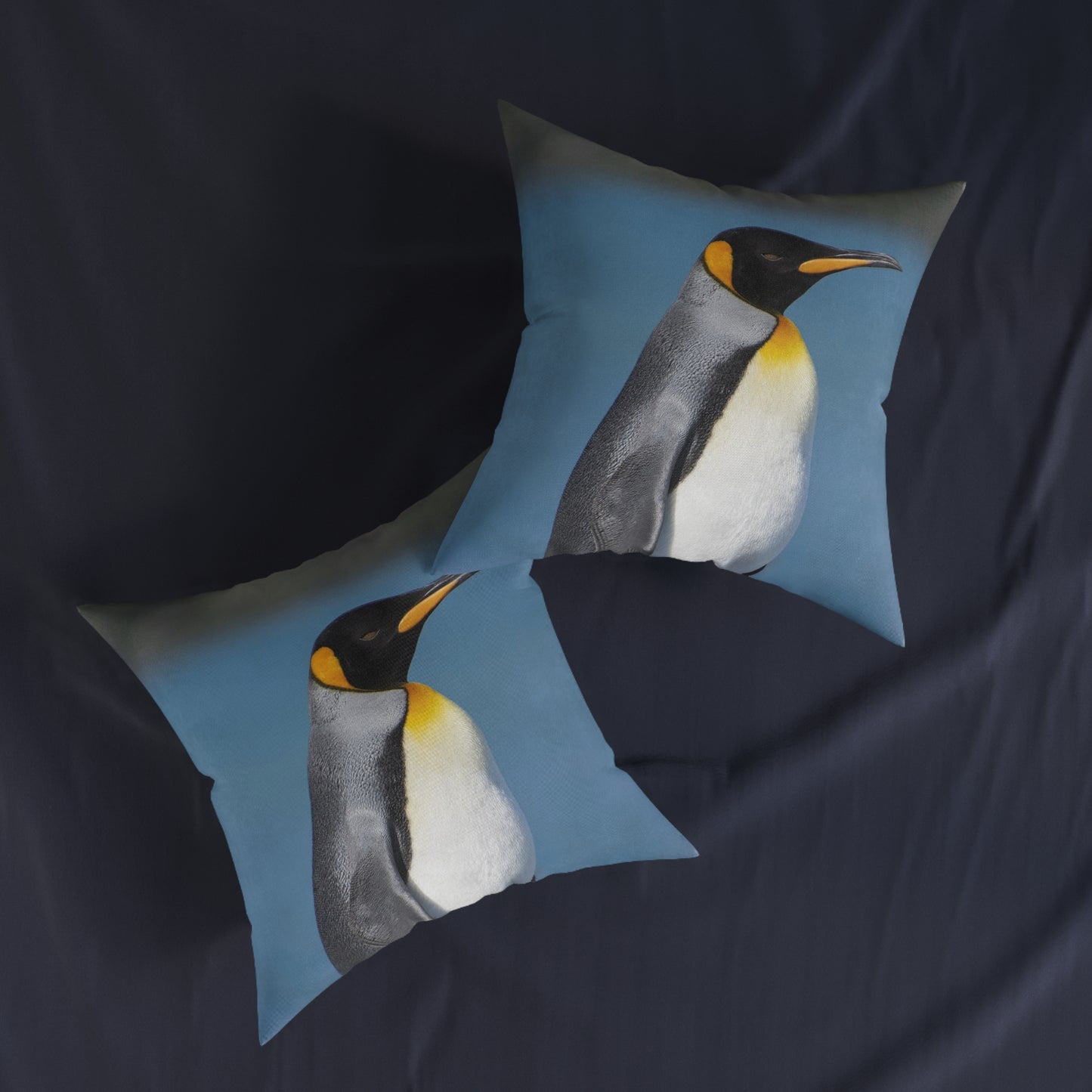 King Penguin