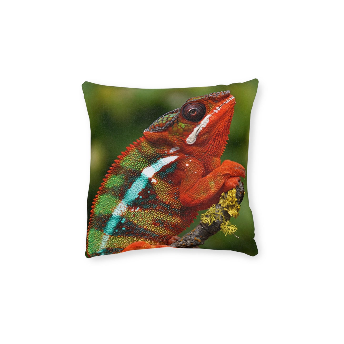 Chameleon