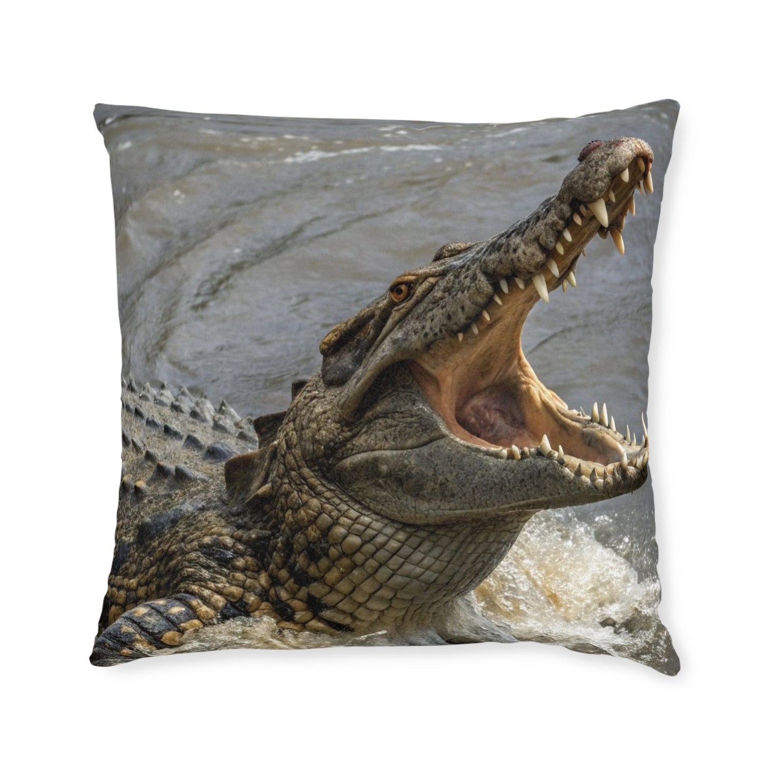 Reptiles & Amphibians