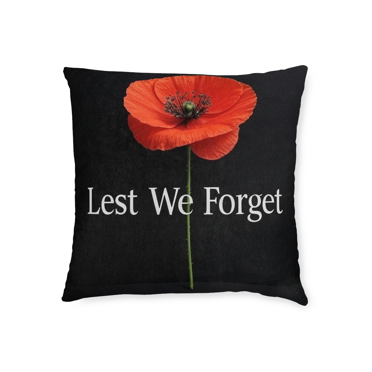 Remembrance Day