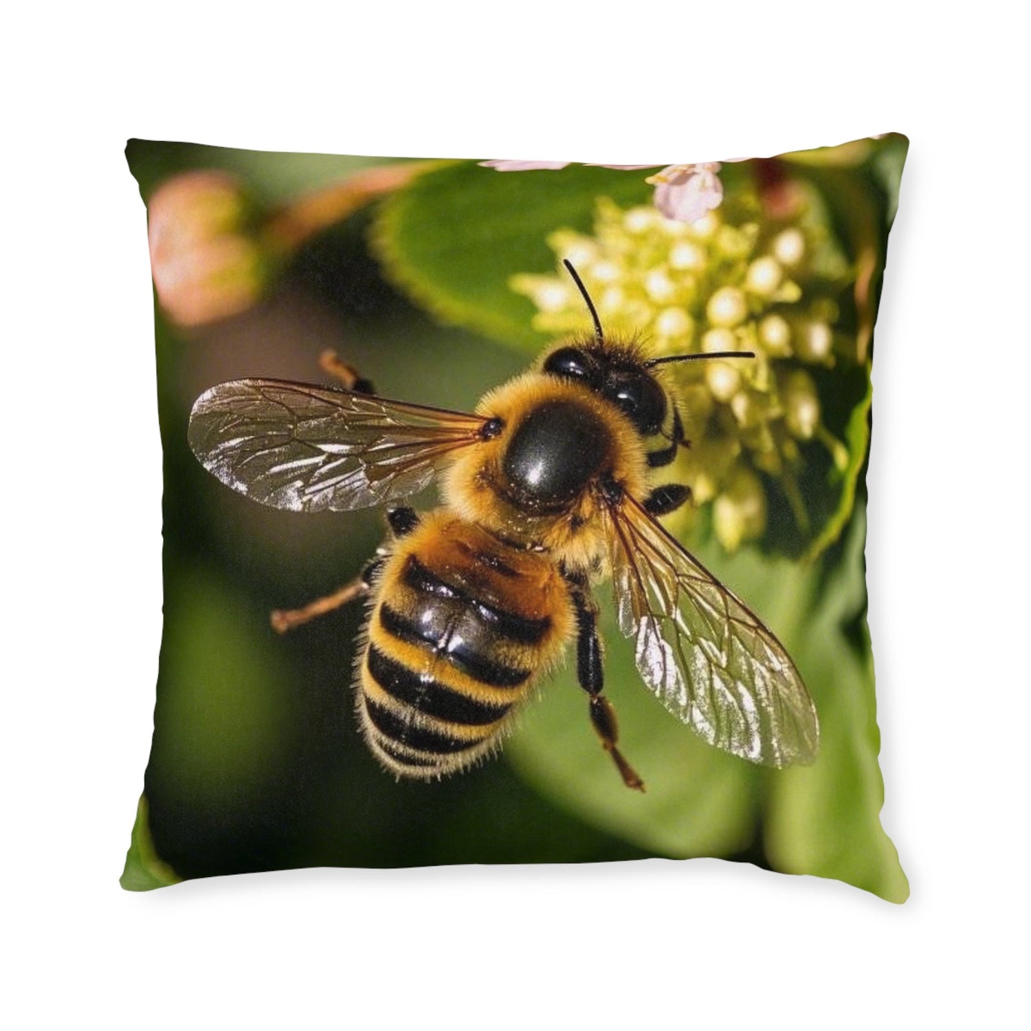 Insects & Small Creatures