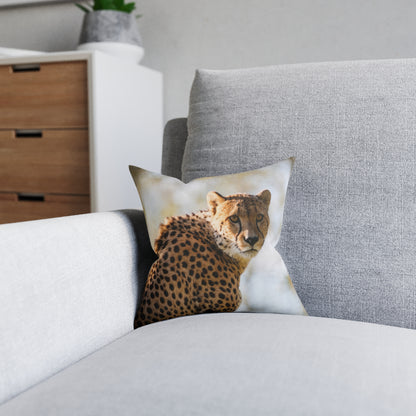 Cheetah