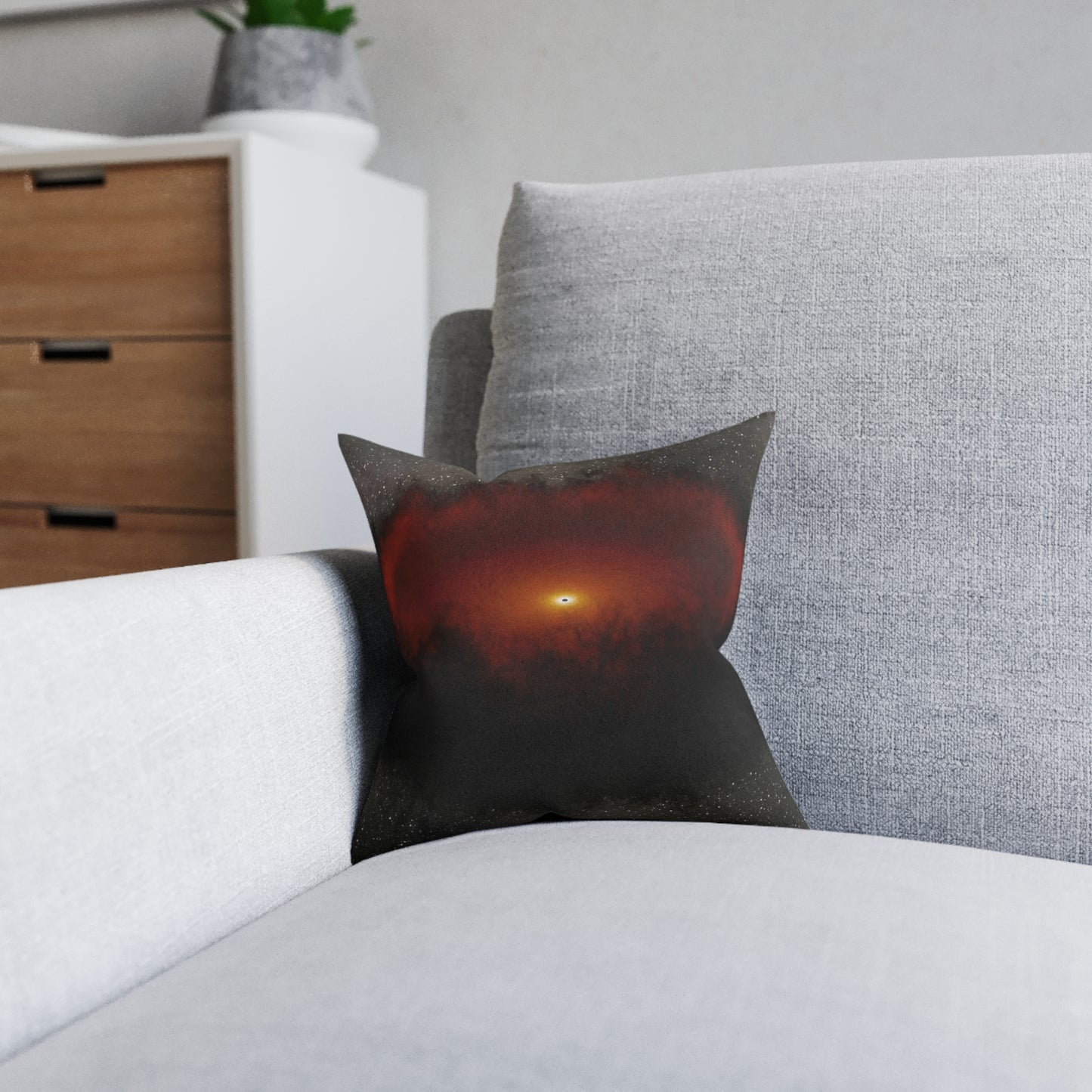 Black Hole Echo Mapping