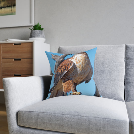 Hawk