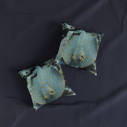 Stingray 2