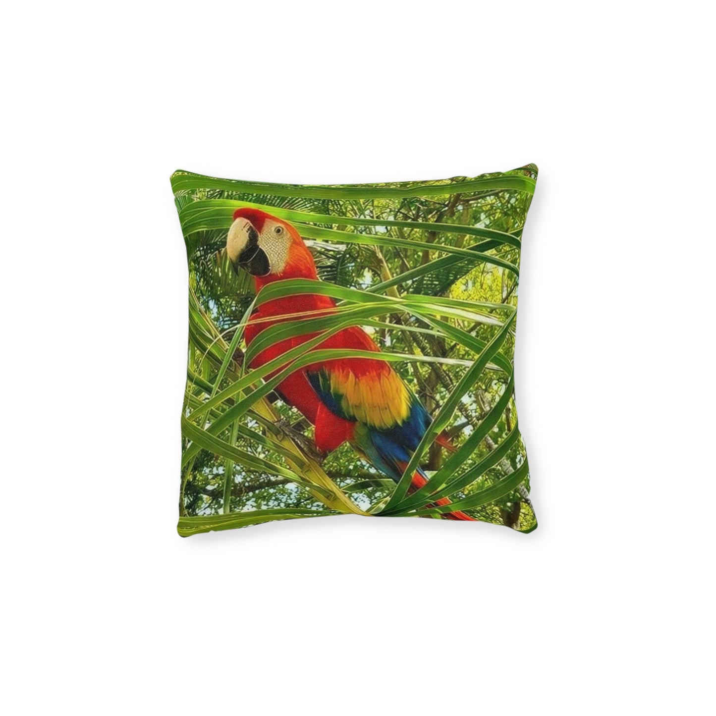 Parrot Red