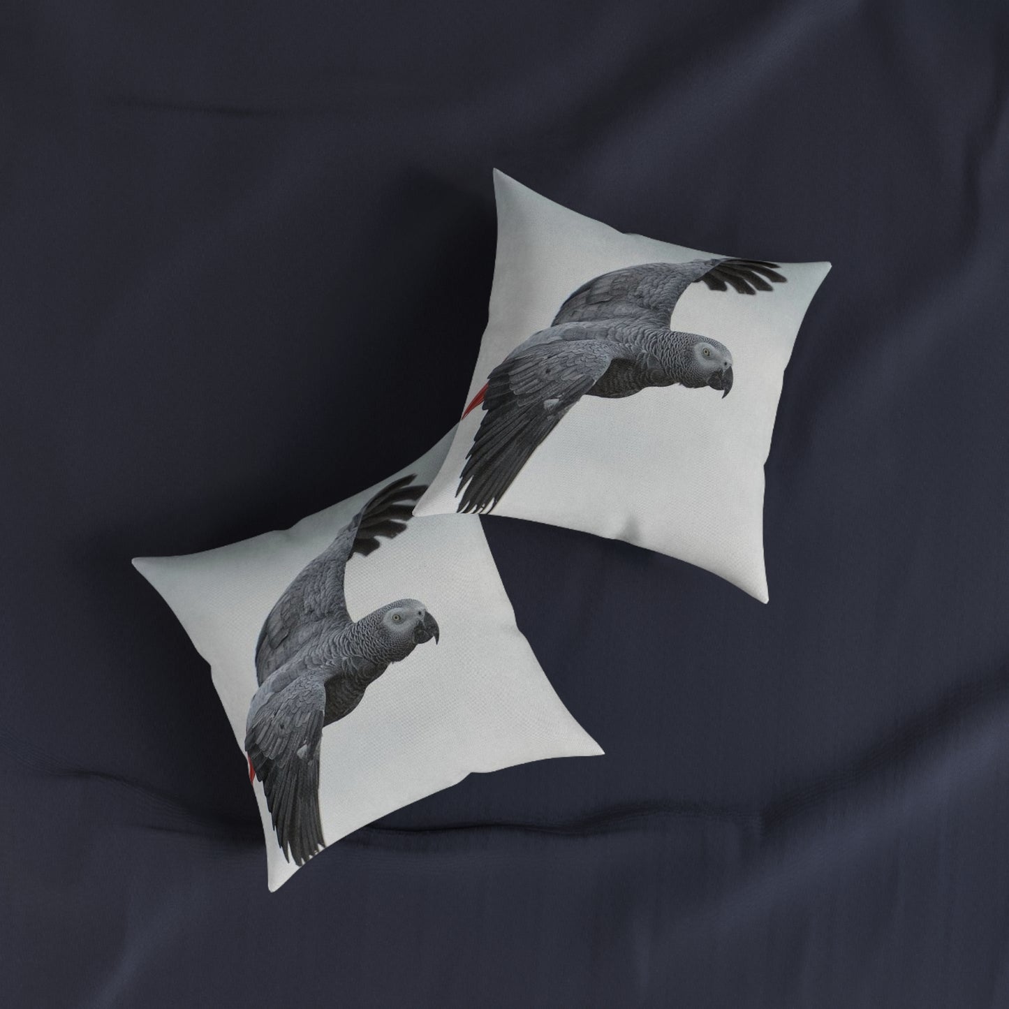 Parrot African Grey