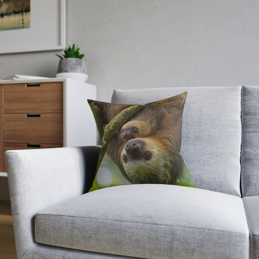 Sloth