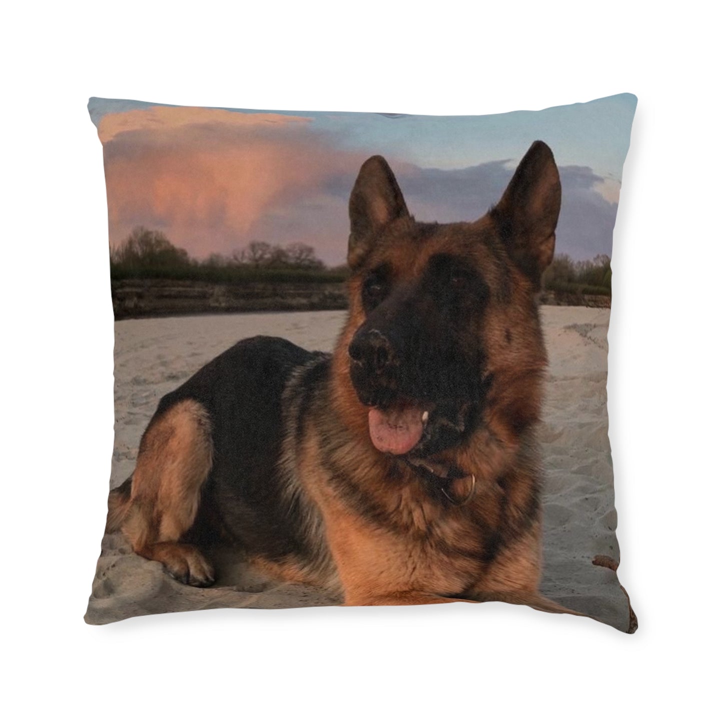German Shepherd Dog