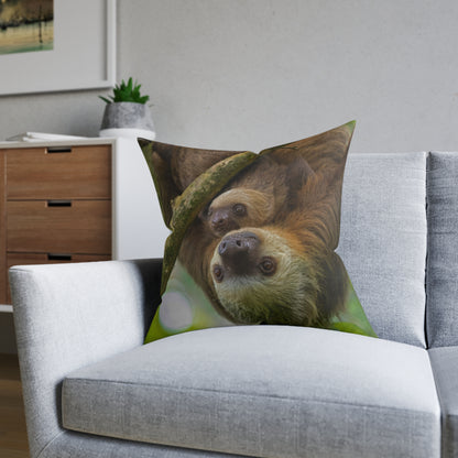 Sloth