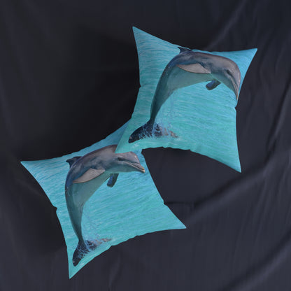 Dolphin
