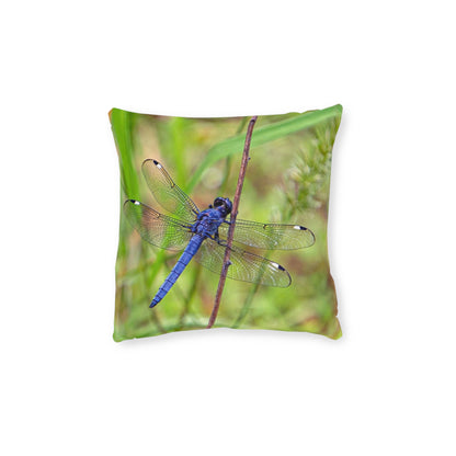 Dragonfly 2