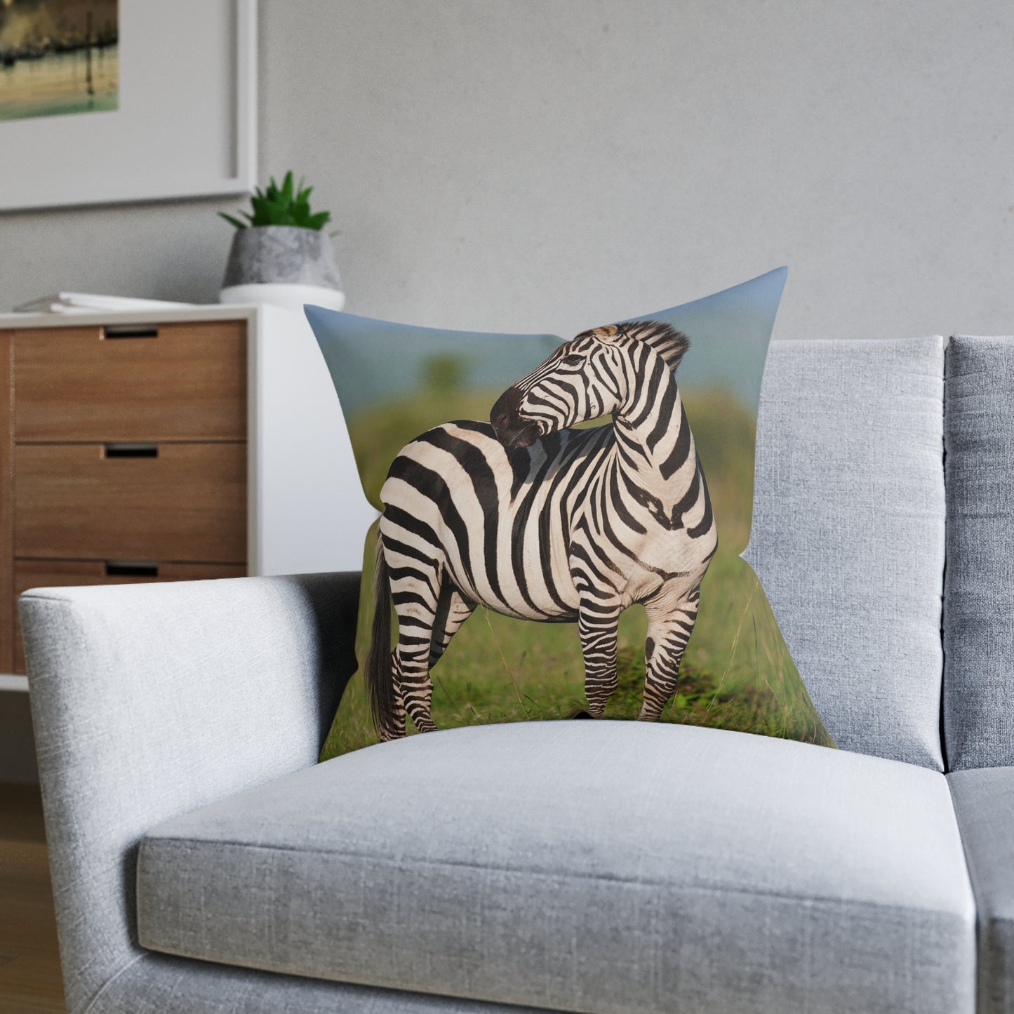 Zebra