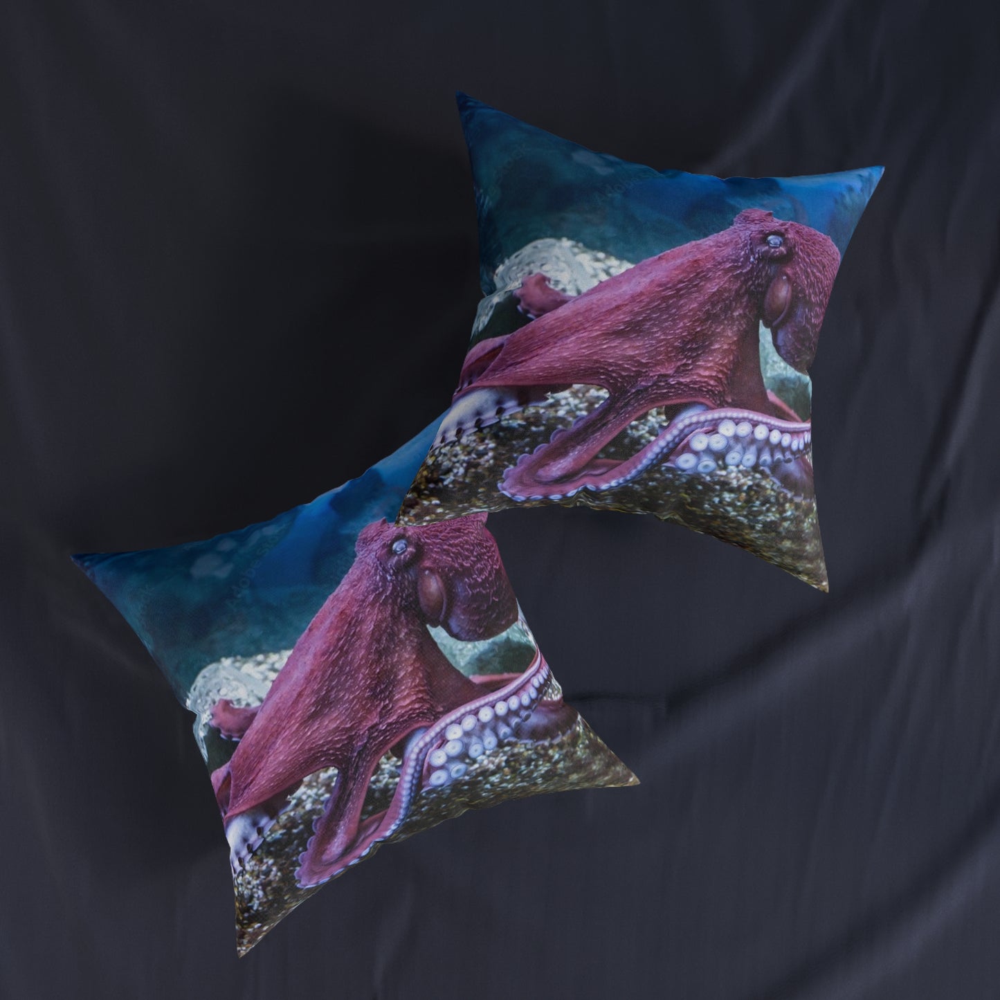 Octopus