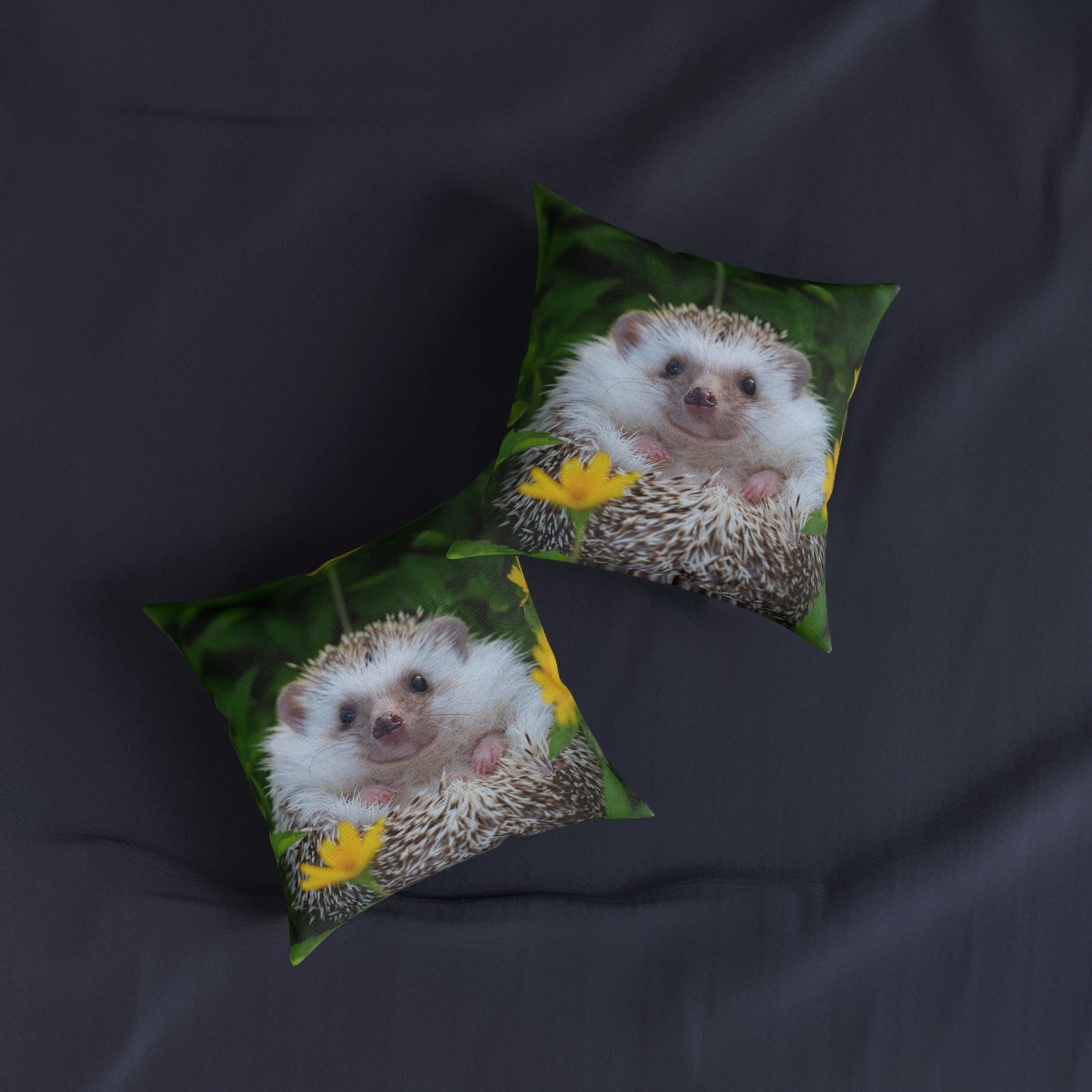 Hedgehog