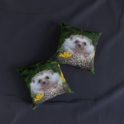 Hedgehog