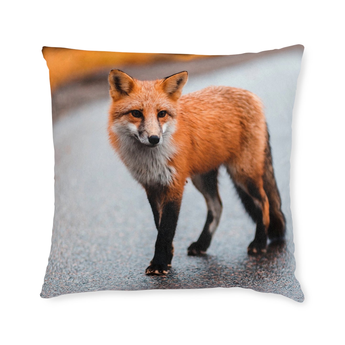 Fox