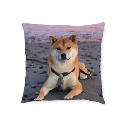 Shiba Inu Dog