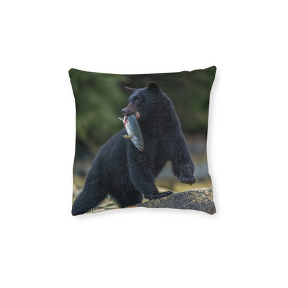 Black Bear