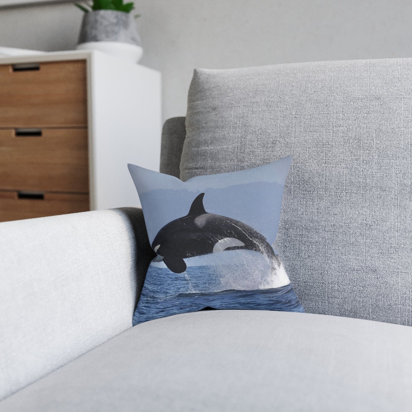 Orca 2