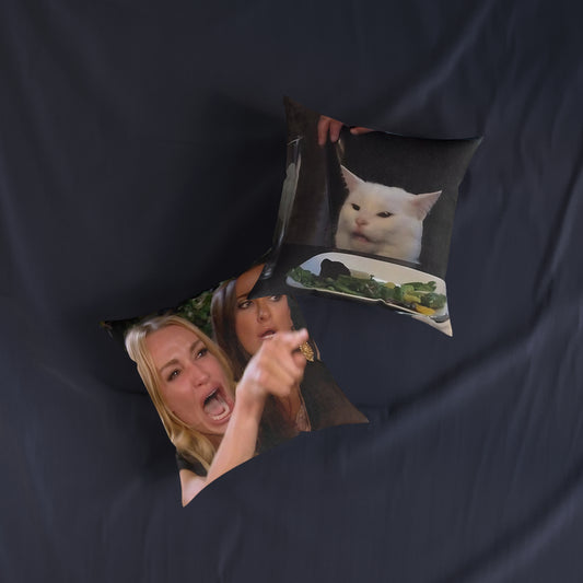 Lady Pointing At Cat Meme