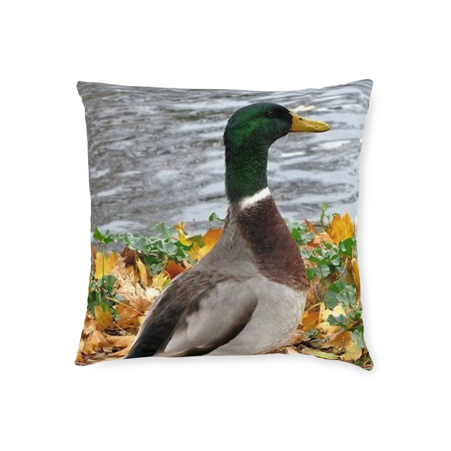 Duck 2
