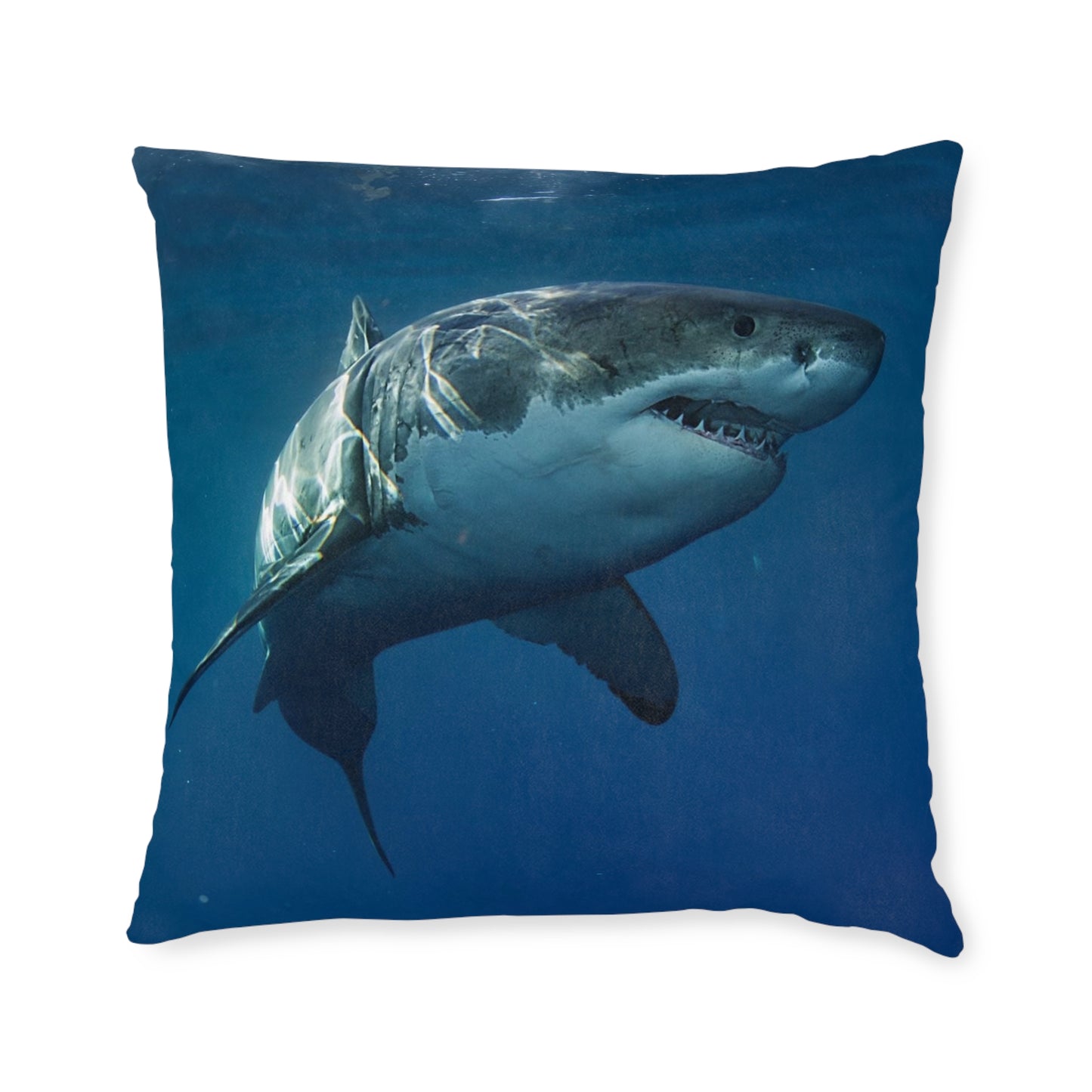 Great White Shark
