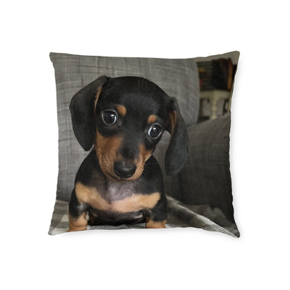 Dachshund Dog