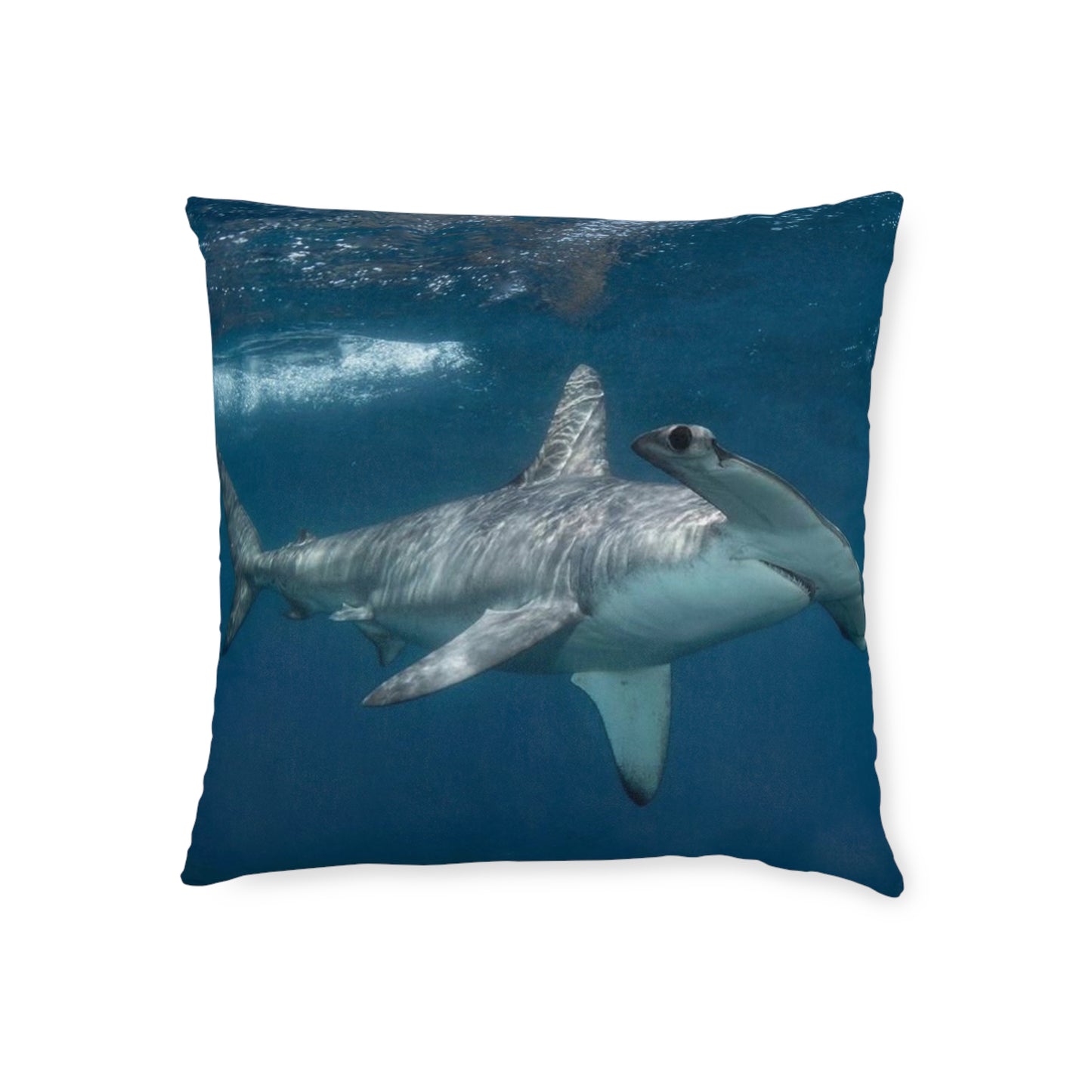 Hammerhead Shark