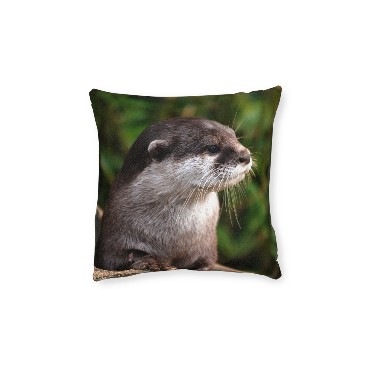 Otter