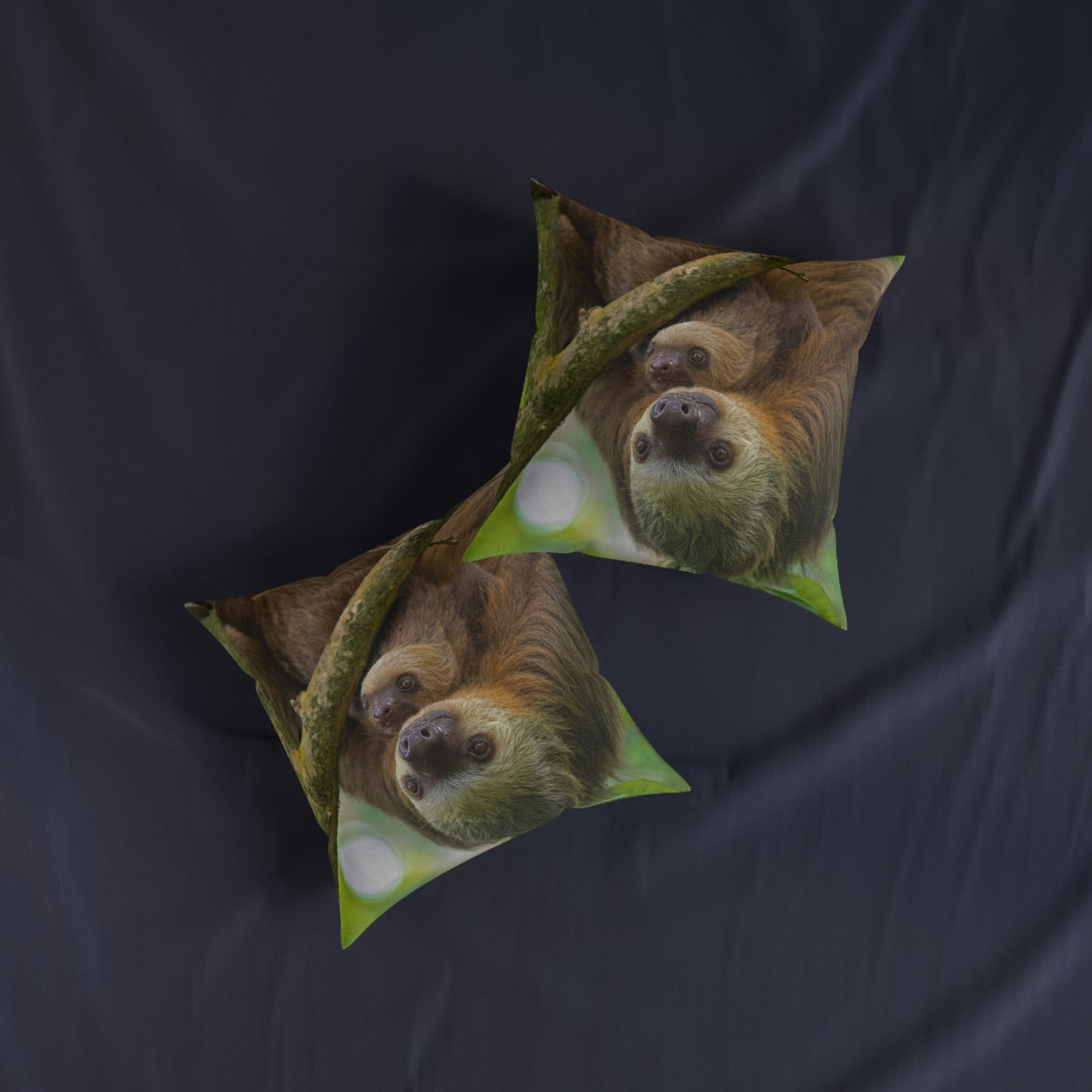Sloth