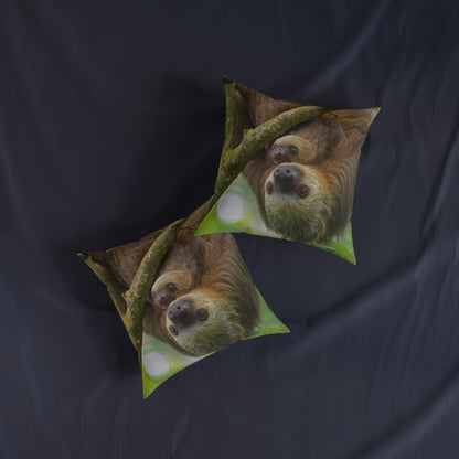Sloth