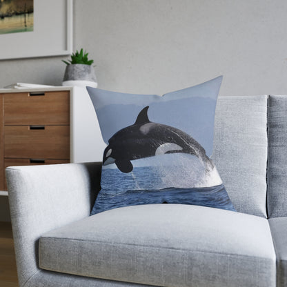 Orca 2