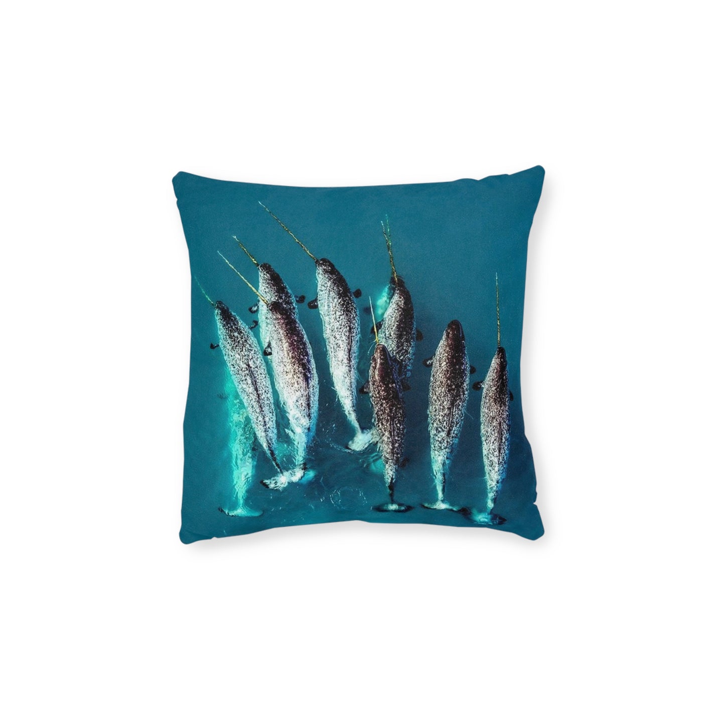 Narwhals
