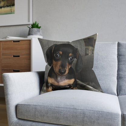 Dachshund Dog