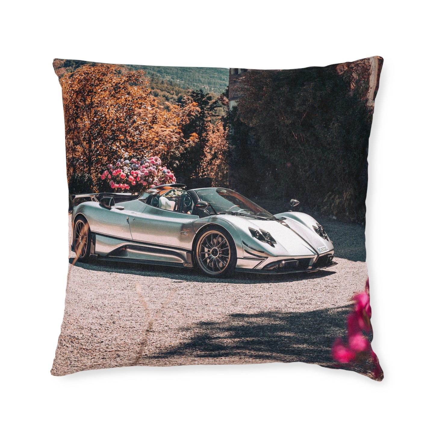 Pagani Zonda Roadster