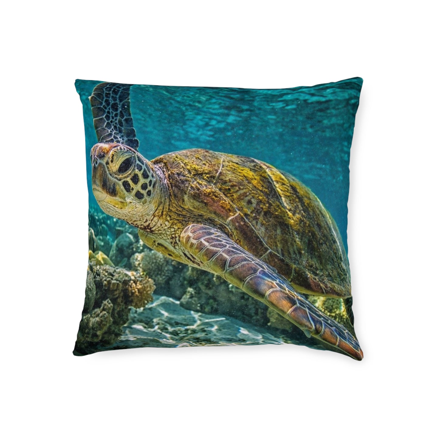 Sea Turtle 2