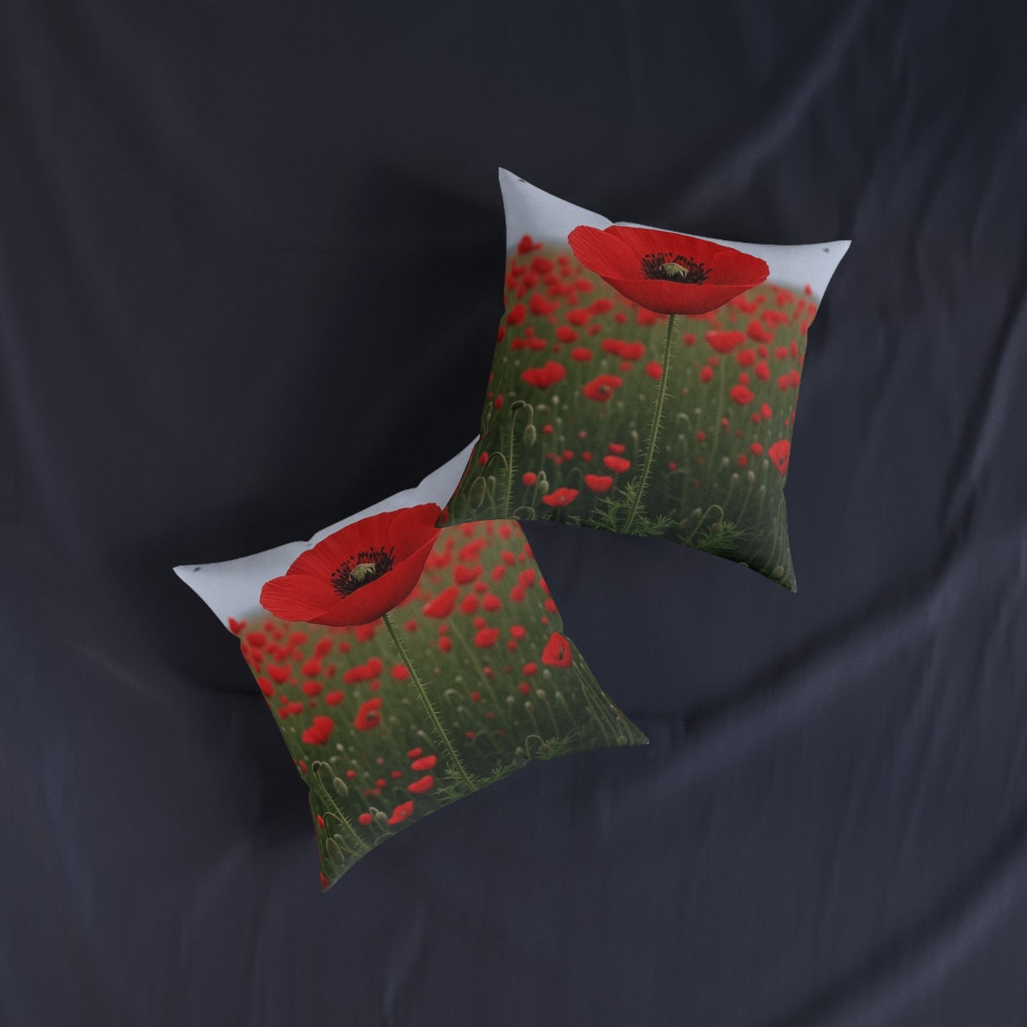 Remembrance Day