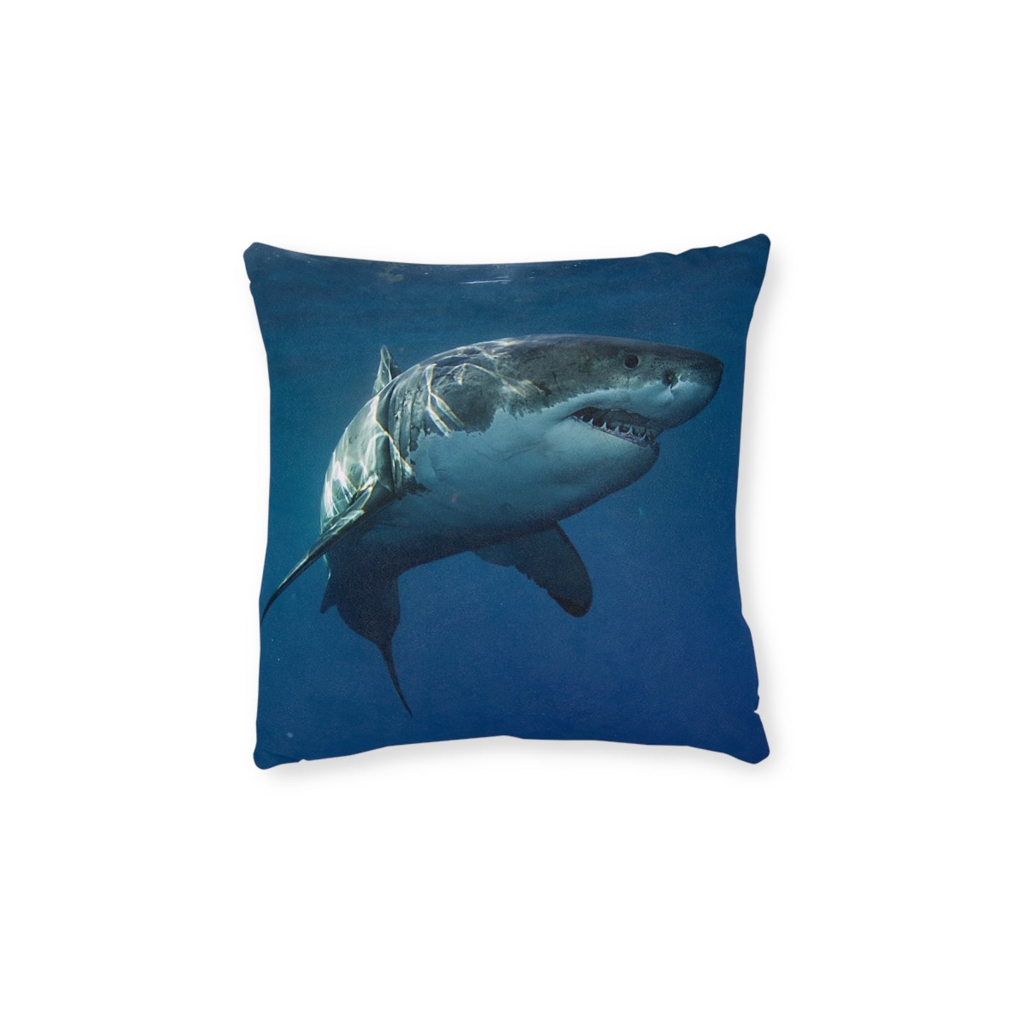 Great White Shark