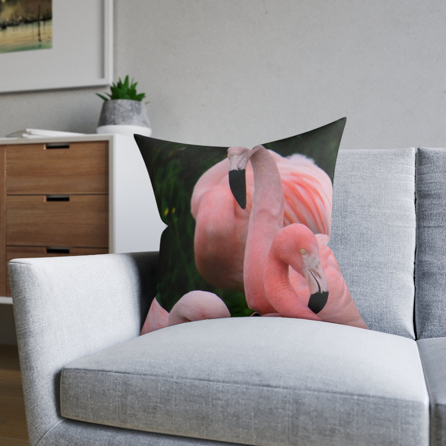 Flamingos