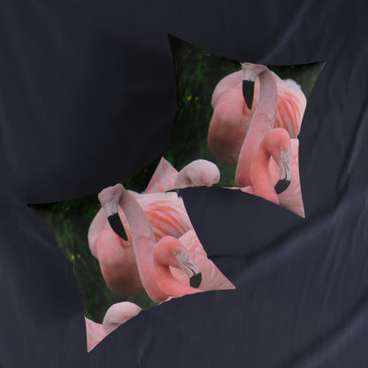 Flamingos