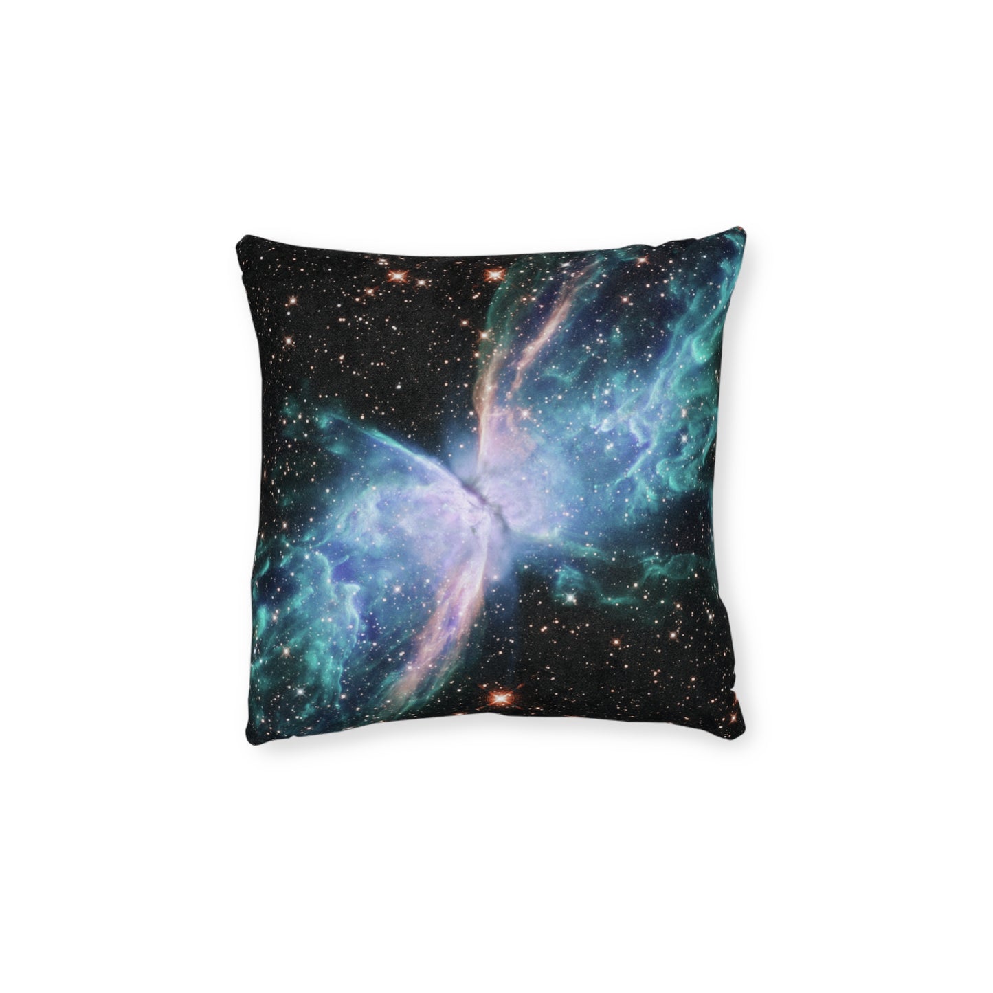 The Butterfly Nebula