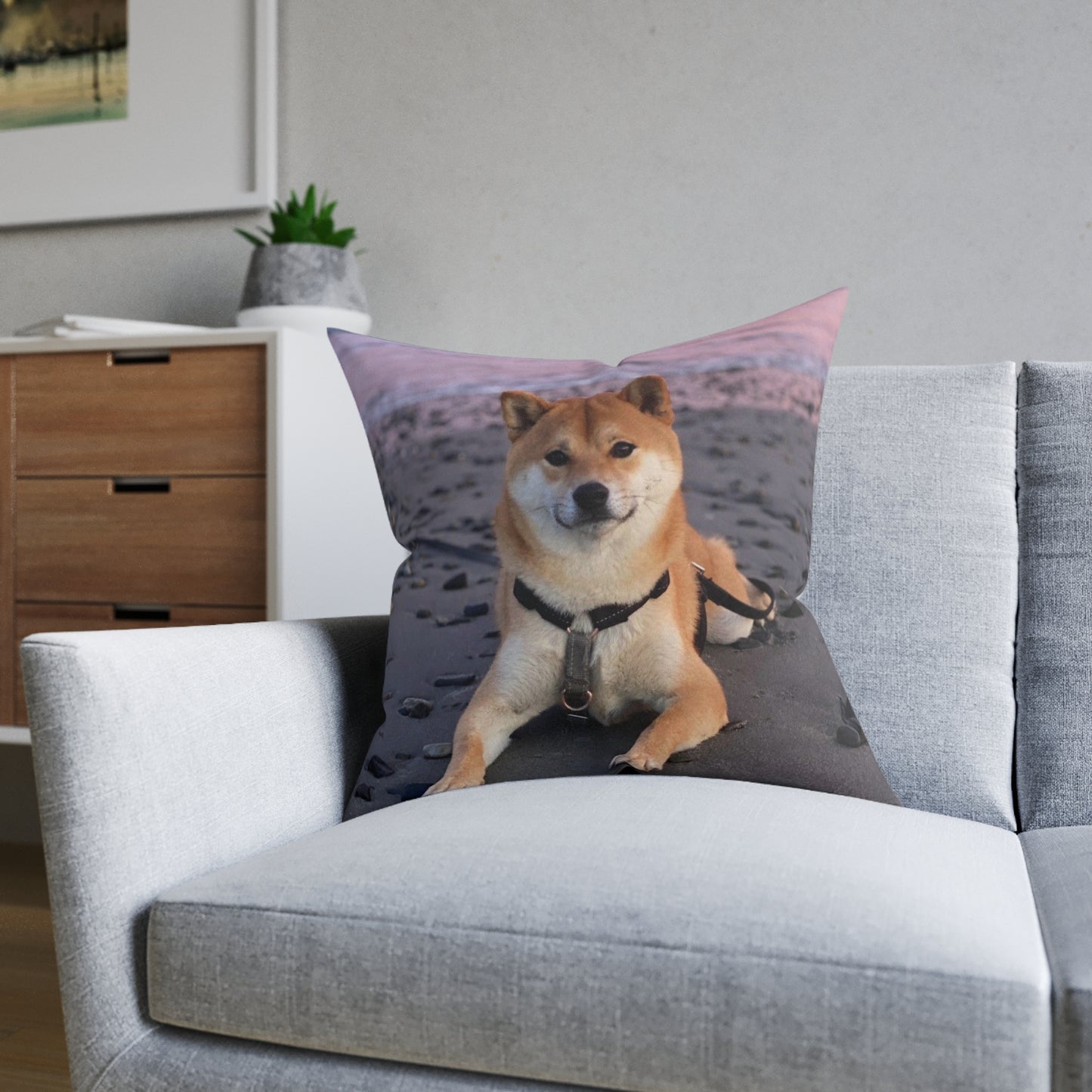 Shiba Inu Dog