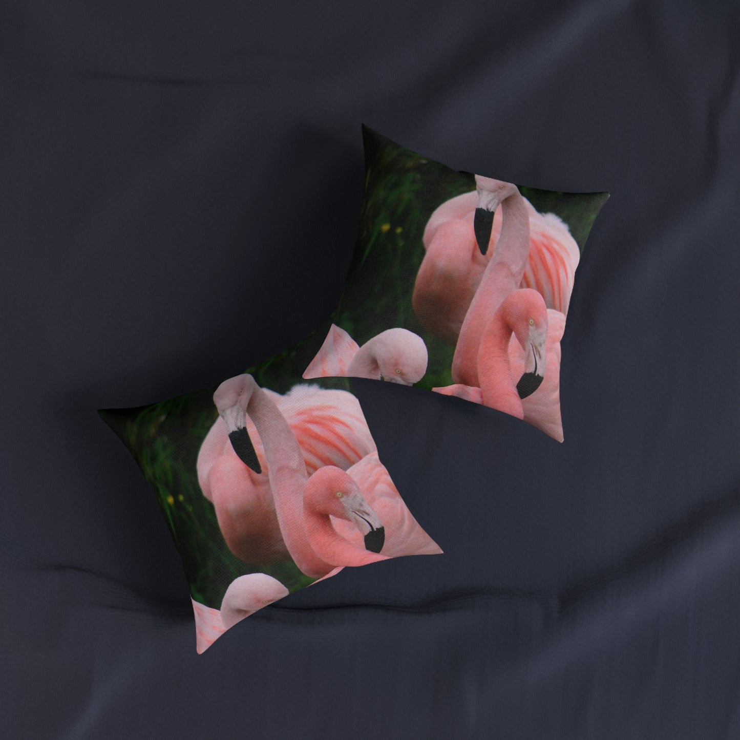 Flamingos