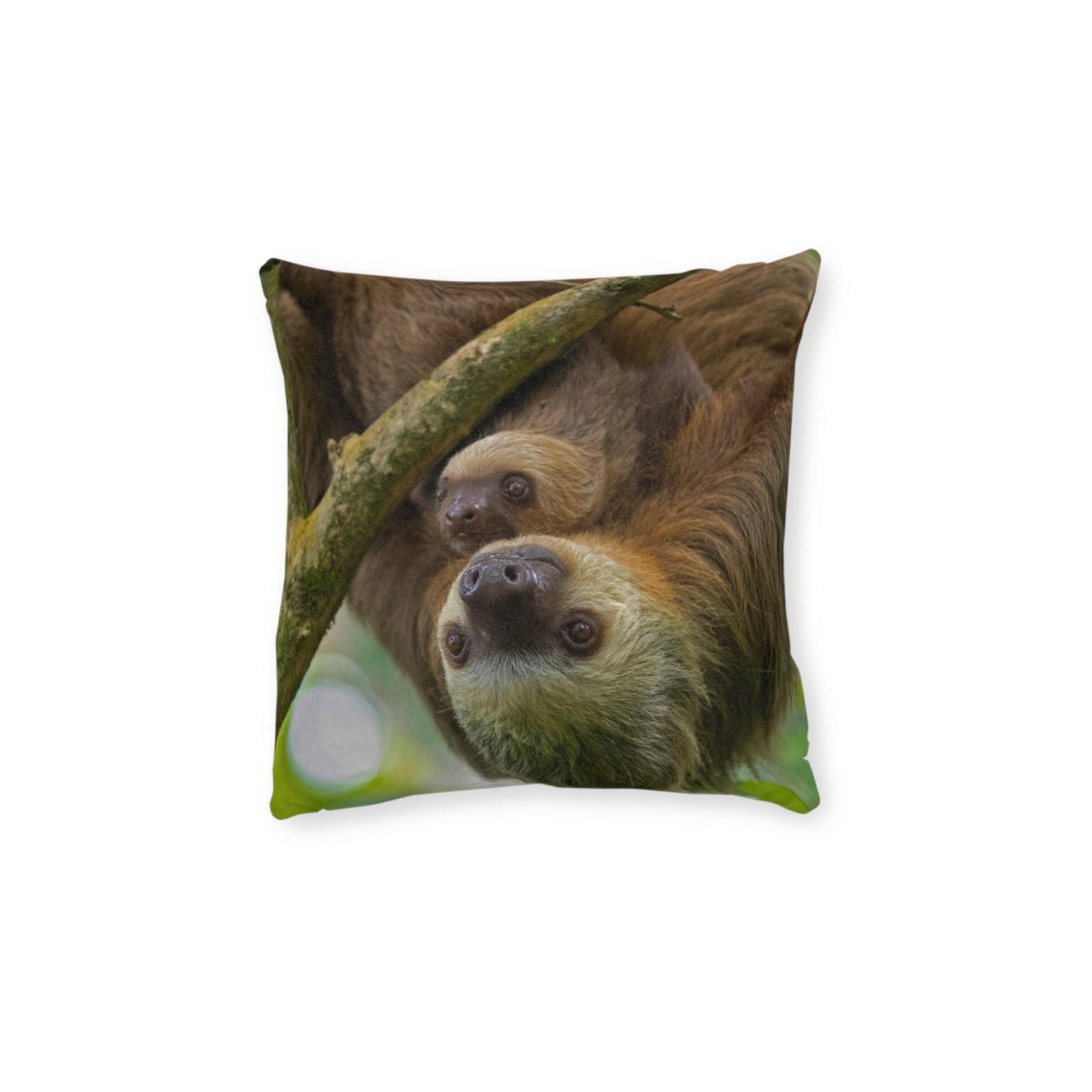 Sloth