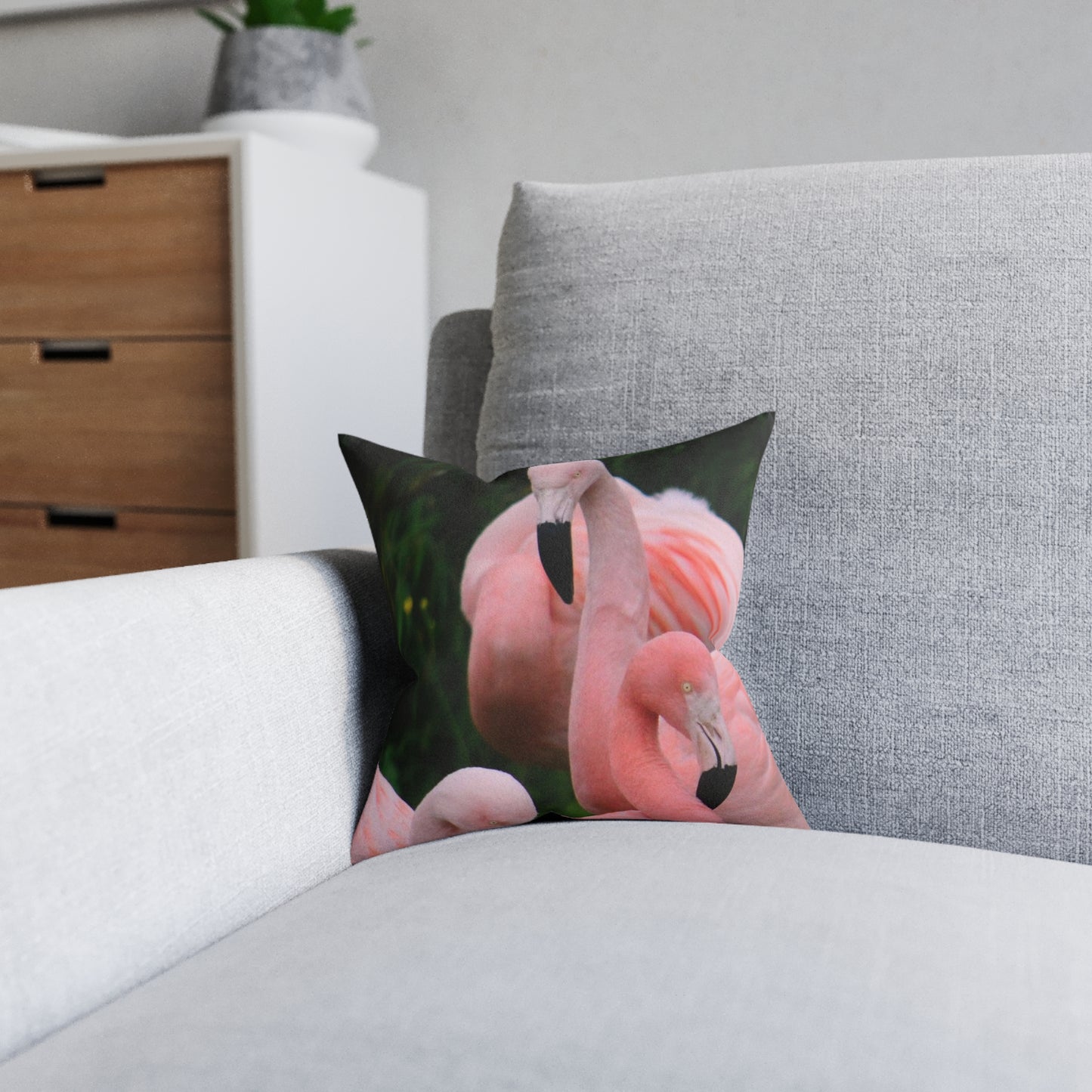 Flamingos