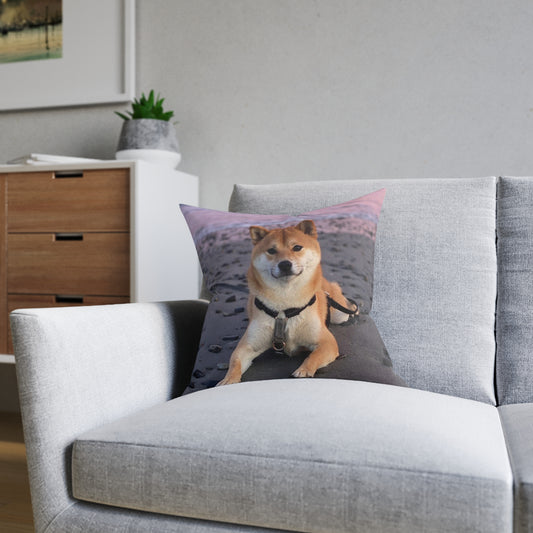 Shiba Inu Dog