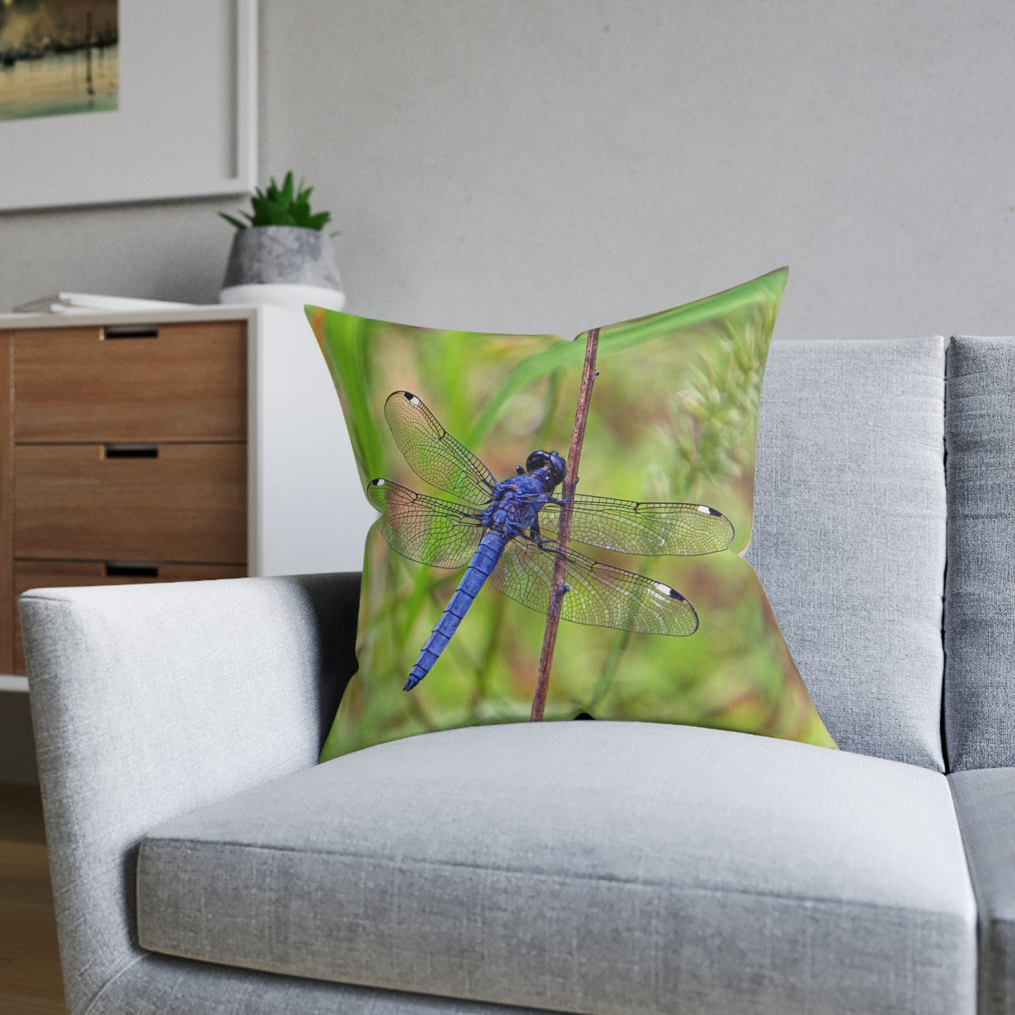 Dragonfly 2